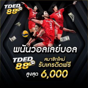 พนันวอลเลย์บอล